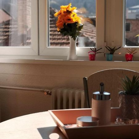 Apartment Skendy Szarajevó Kültér fotó